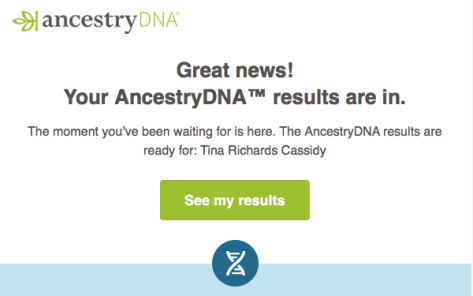 Screen Shot 2017-06-21 at 11.18.29 AM