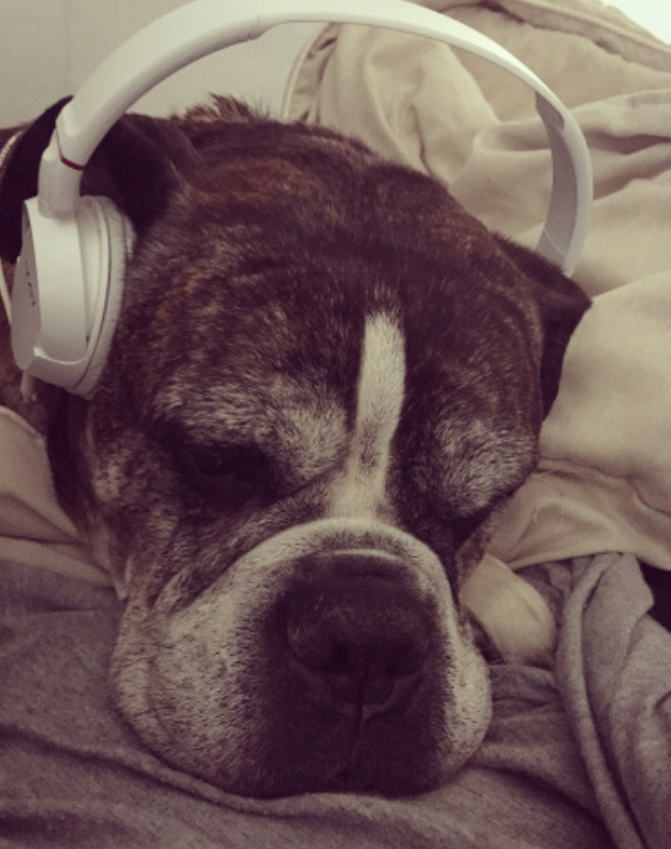 Screen Shot 2021-09-20 at 9.56.54 PM