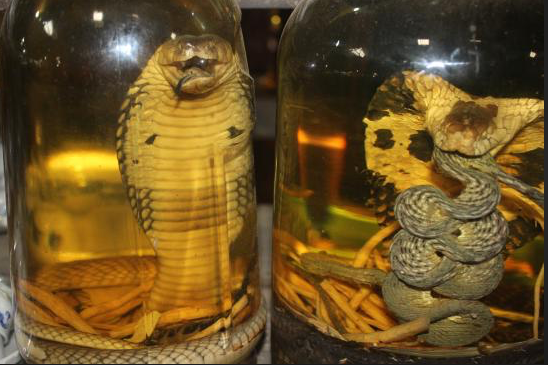 Screen Shot 2019-03-14 at 6.23.46 PM.png