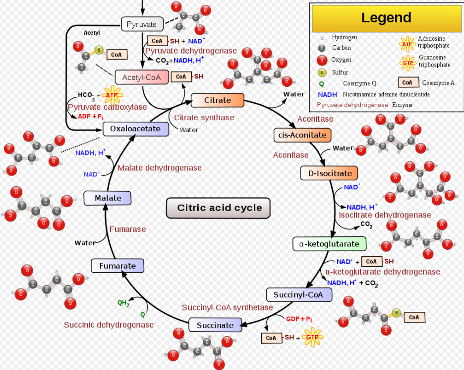 Screen Shot 2020-01-11 at 2.24.48 PM