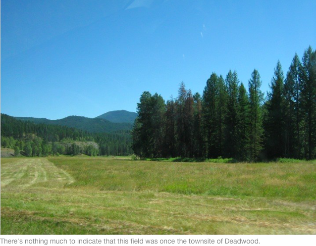 Screen Shot 2020-05-20 at 9.56.22 PM