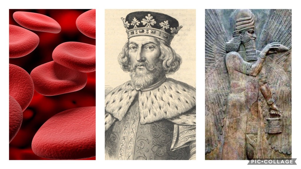 Rh- Alien Blood, Royal Blue Bloods, and My Lineage to King John&nbsp;I
