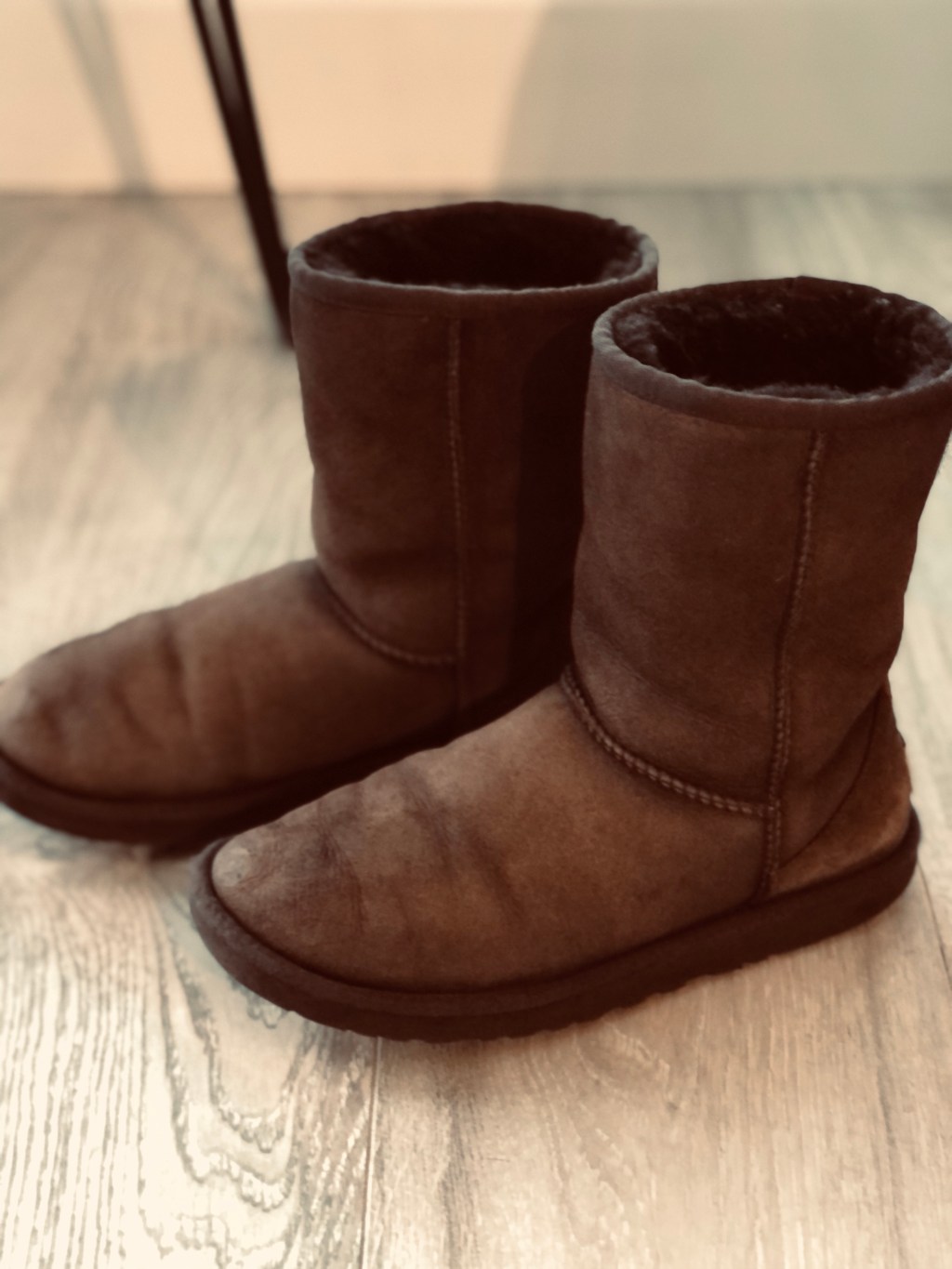 YES, I Washed my UGGS in the Washing&nbsp;Machine!