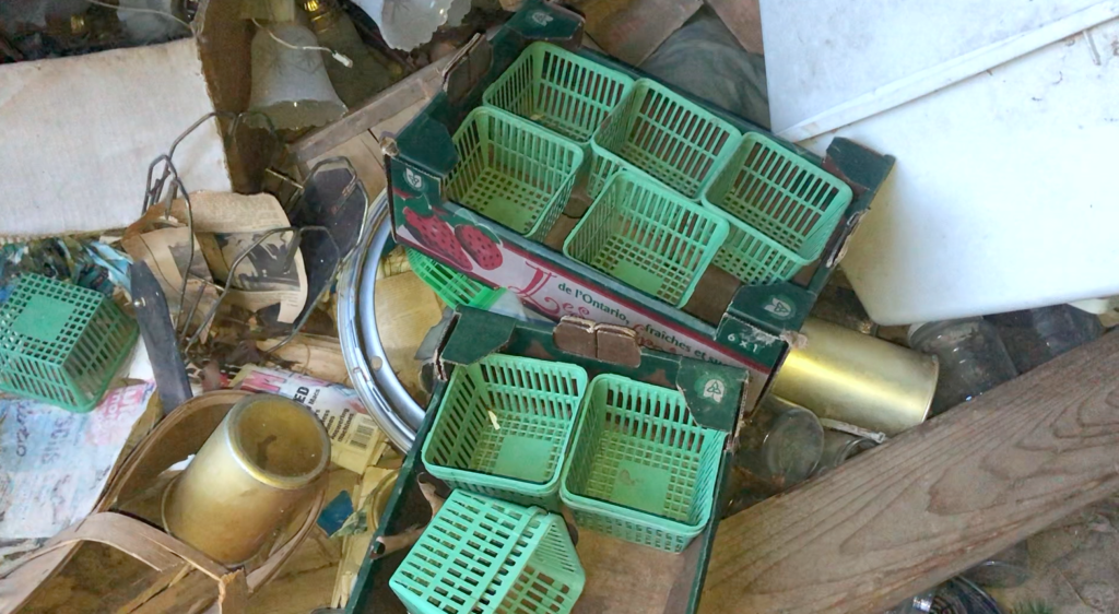 Urbex: Exploring the Abandoned Stoll Strawberry&nbsp;Farm