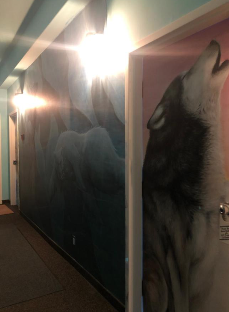 Screen Shot 2021-09-03 at 2.49.12 PM