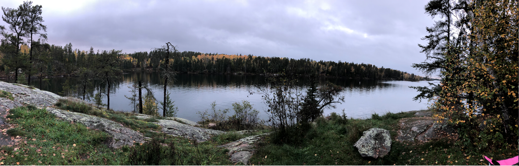 Screen Shot 2021-10-18 at 11.34.57 AM